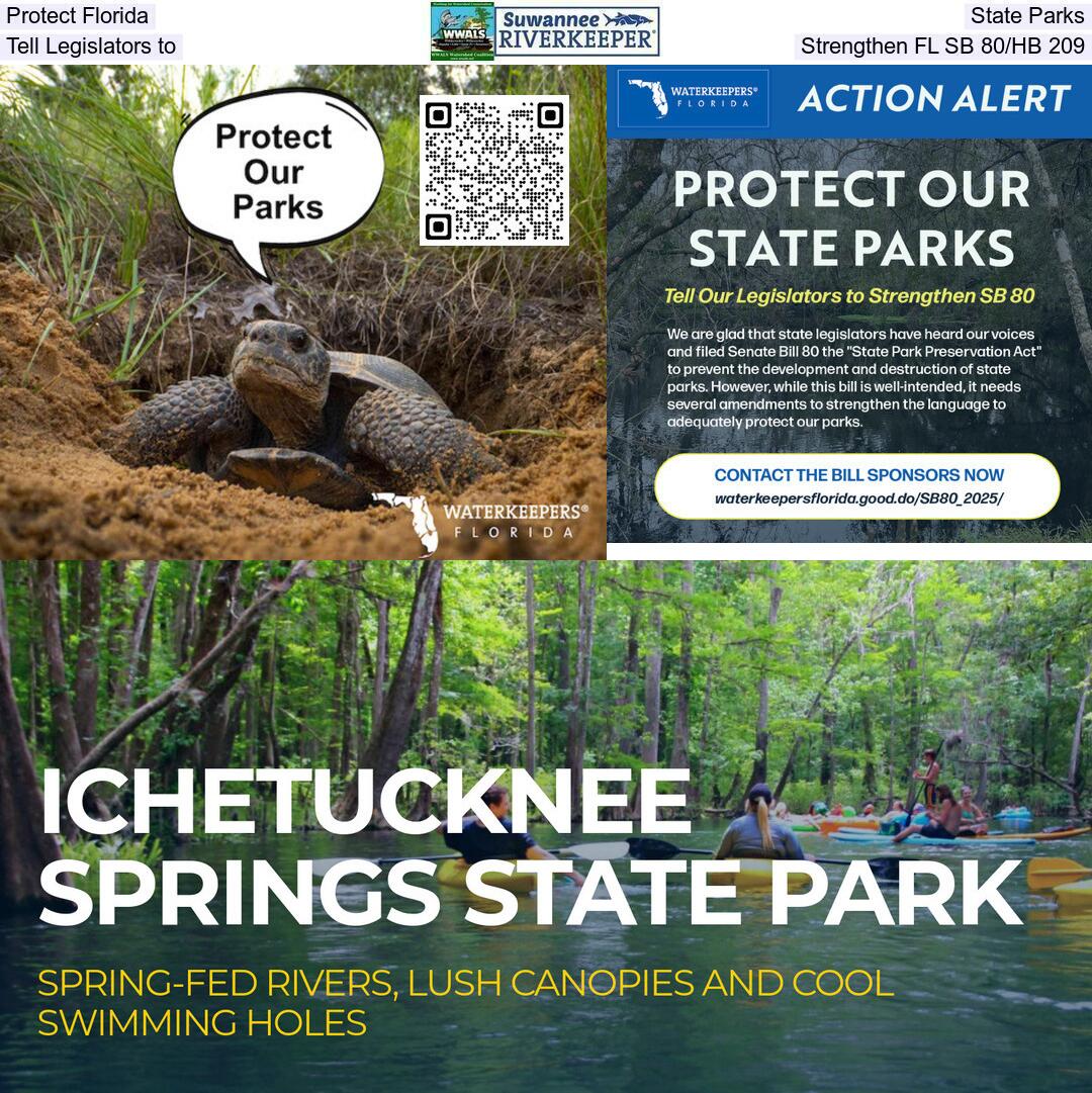 Protect Florida State Parks, Tell Legislators to Strengthen FL SB 80/HB 209