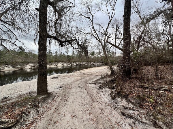 [Naylor Park Beach, Alapaha River @ US 84 2025-02-13]