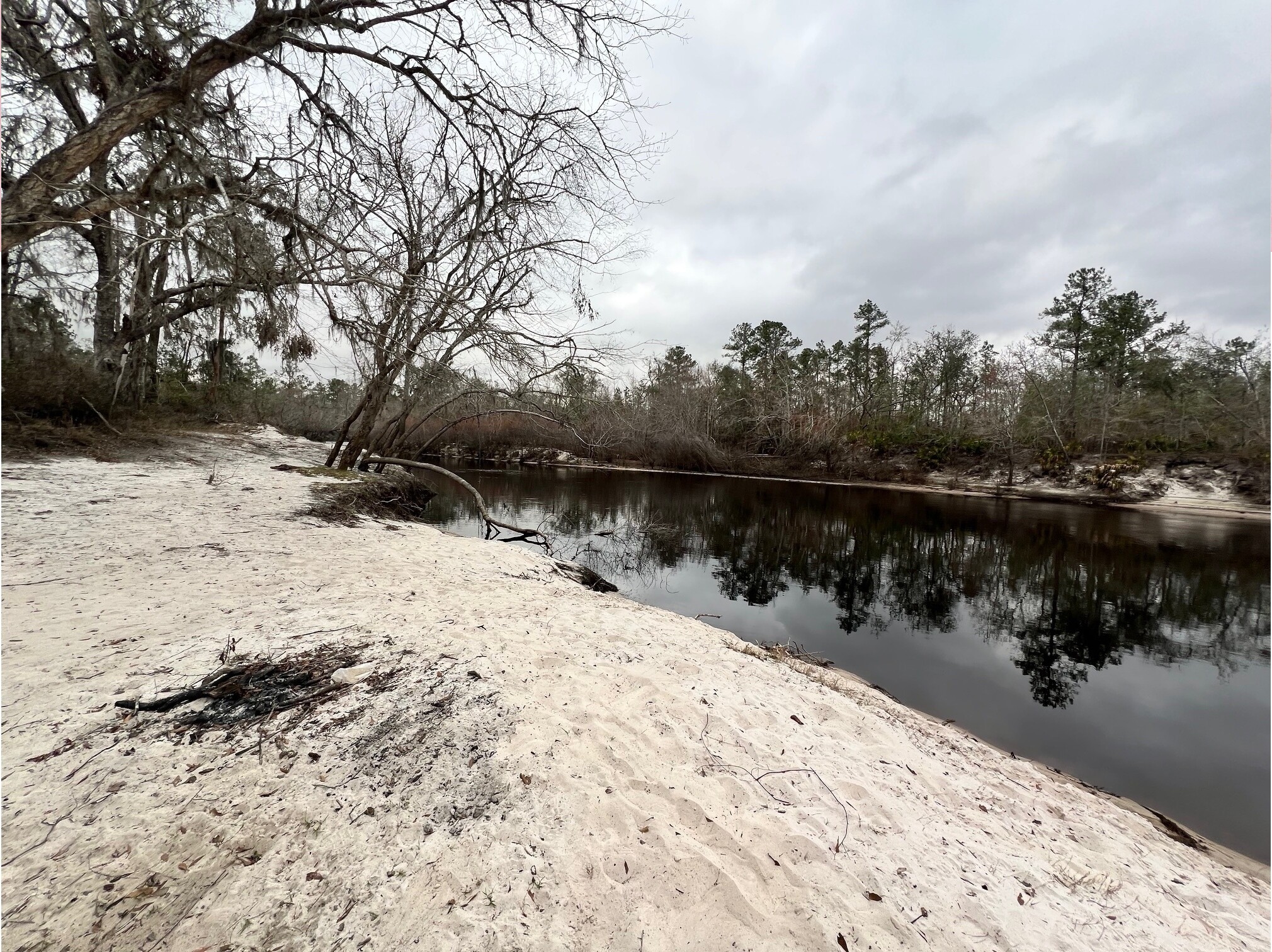 Naylor Park Beach other, Alapaha River @ US 84 2025-02-13