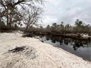 [Naylor Park Beach other, Alapaha River @ US 84 2025-02-13]