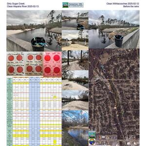 [Dirty Sugar Creek & Clean Withlacoochee 2025-02-12, Clean Alapaha River 2025-02-13, Before the rains]