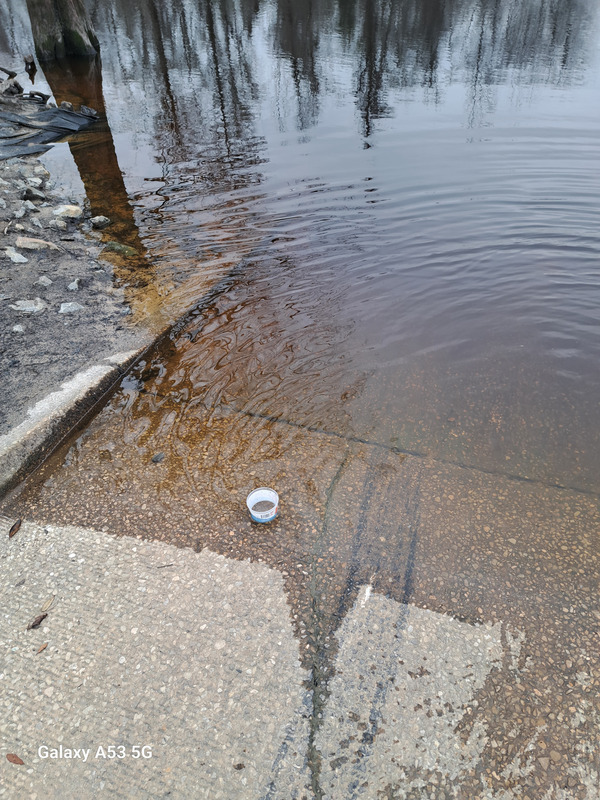 Waterline, State Line Boat Ramp Withlacoochee River @ Madison Highway 2025-02-14