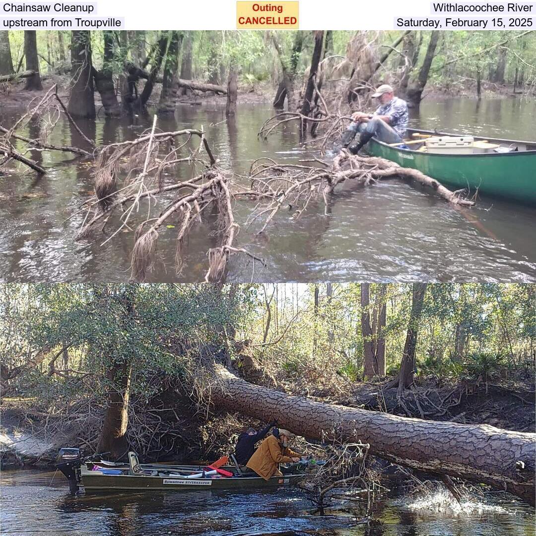 Chainsaw Cleanup, Withlacoochee River, upstream from Troupville, Saturday, February 15, 2025