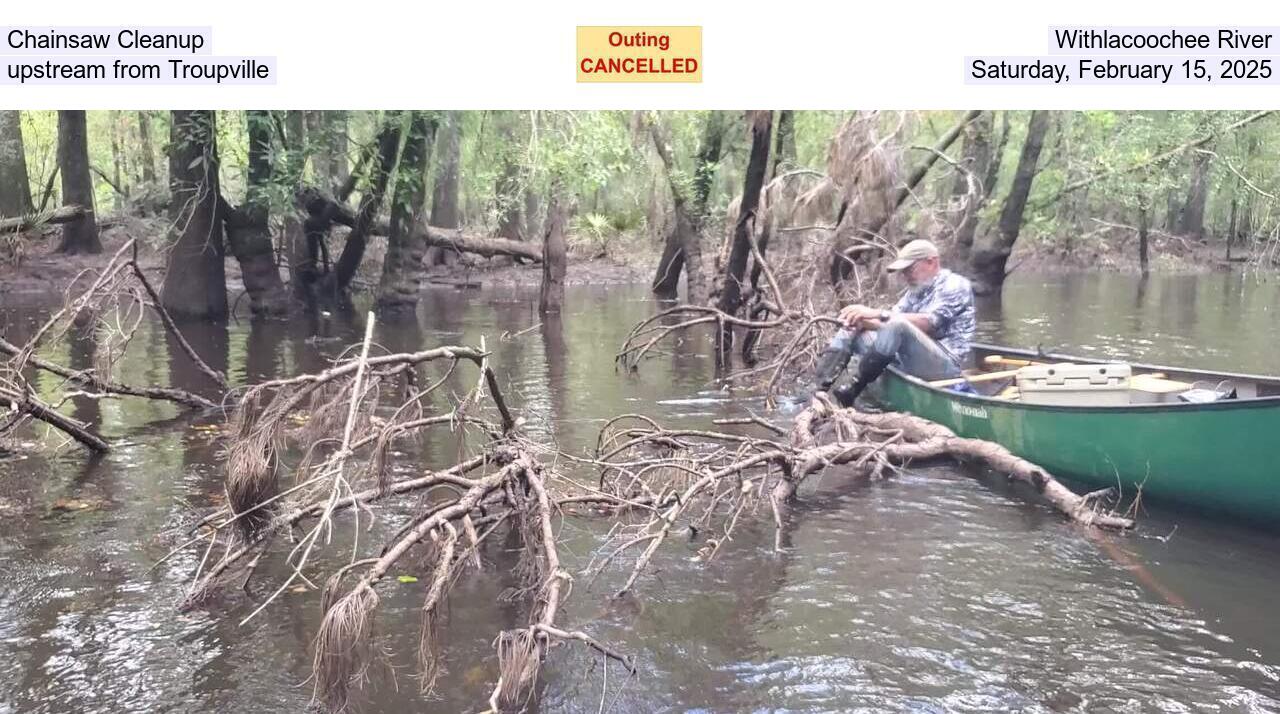 Chainsaw Cleanup, Withlacoochee River, upstream from Troupville, Saturday, February 15, 2025