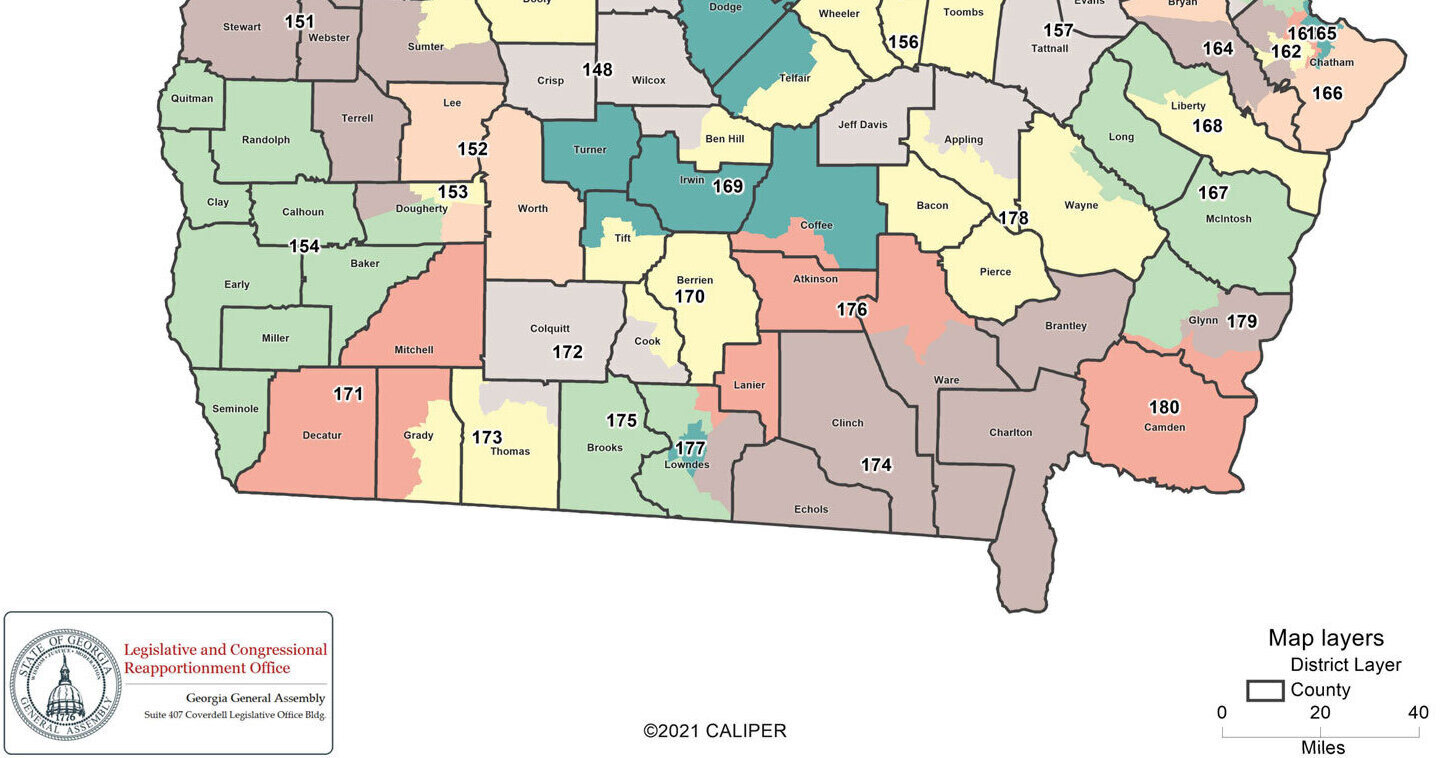 Map: Georgia statehouse districts in the Suwannee River Basin