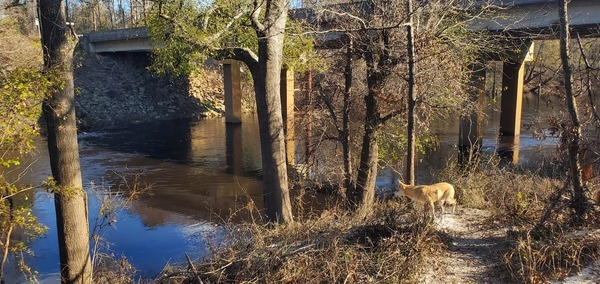 [Sky surveys the Alapaha River and the GA 94 bridge, 2025:02:25 16:18:07, 30.7042544, -83.0326191]