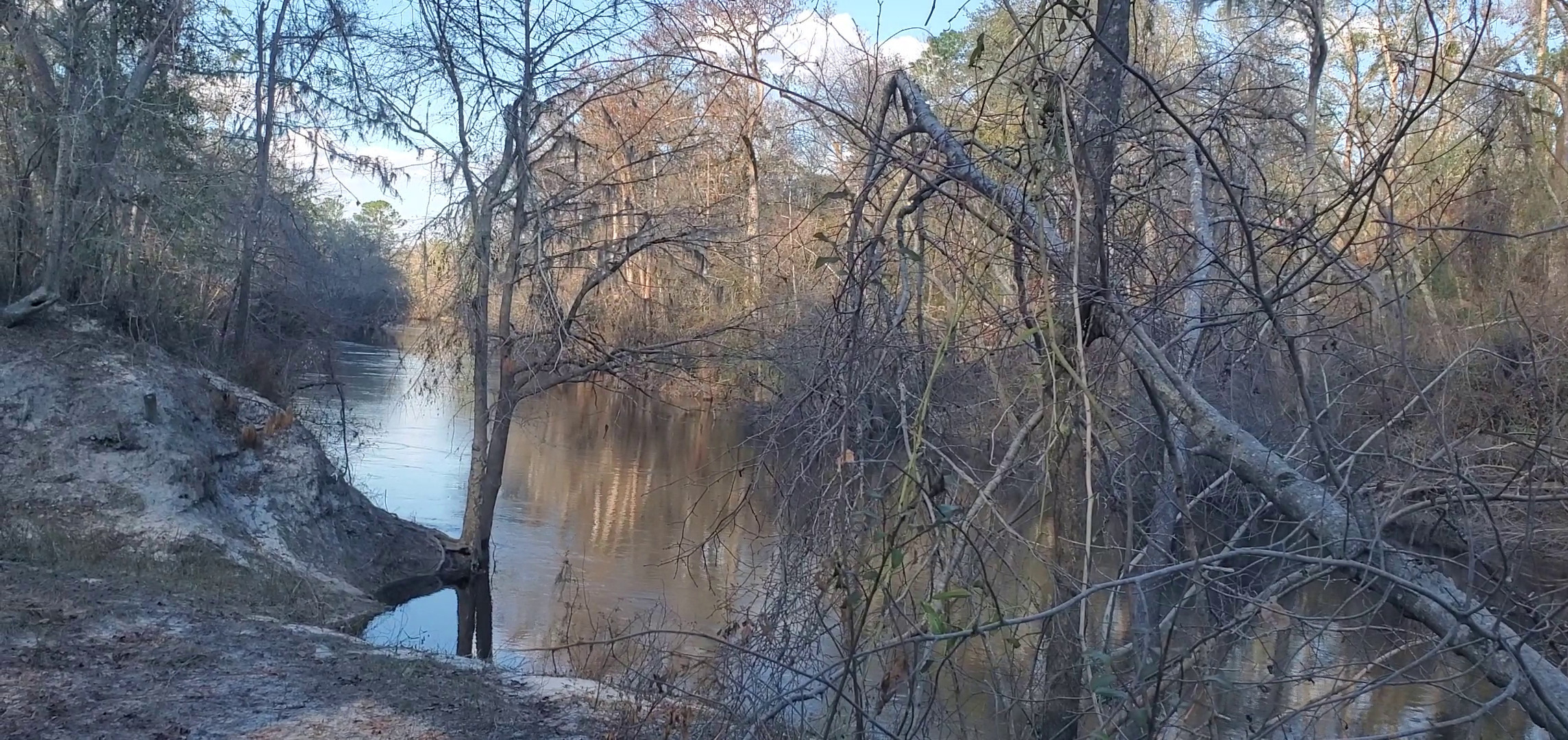 Downstream Alapaha River, Statenville Boat Ramp, 30.7042544, -83.0326191