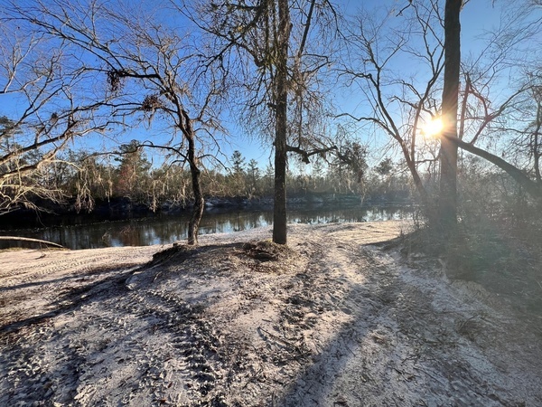 [Naylor Park Beach, Alapaha River @ US 84 2025-02-27]