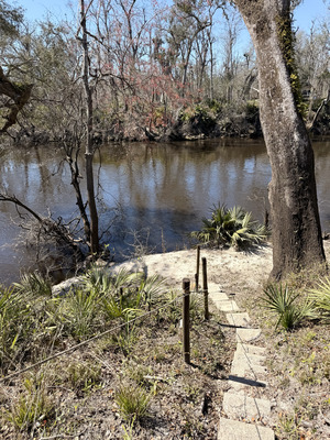 [Holly Point other, Withlacoochee River @ NE Withla Bluffs Way 2025-02-27]