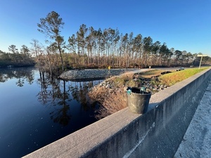 [Back to Lakeland Boat Ramp, Alapaha River @ GA 122 2025-02-27]