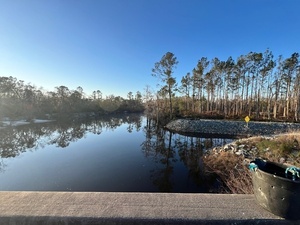 [Downstream, Lakeland Boat Ramp, Alapaha River @ GA 122 2025-02-27]