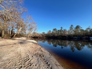 [Downstream, Naylor Park Beach, Alapaha River @ US 84 2025-02-27]