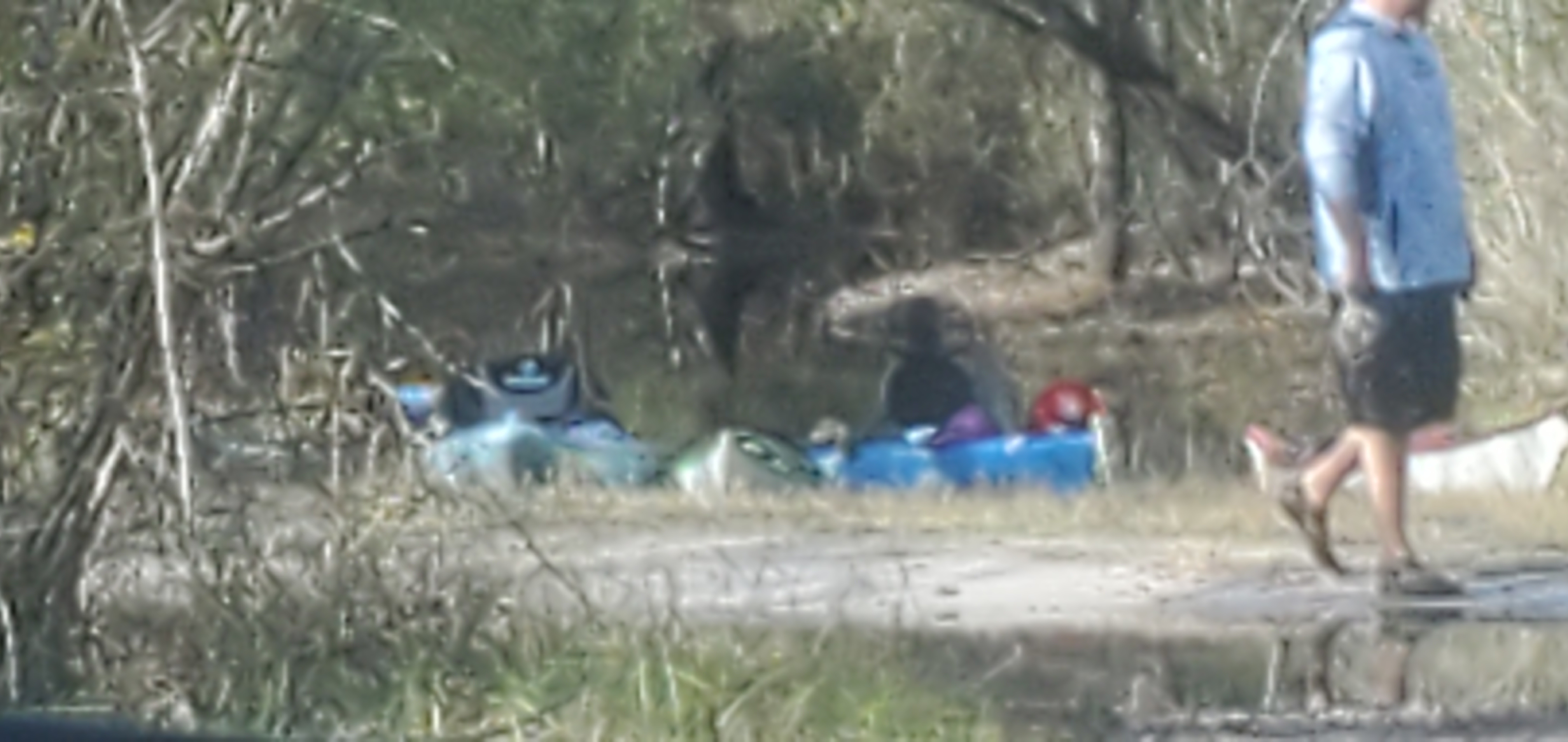 Boats on shore, Griffis Fish Camp Landing, 2023:12:09 13:56:41, 30.7844920, -82.4454230