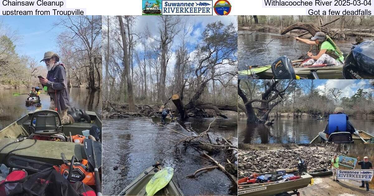 Chainsaw Cleanup, Withlacoochee River 2025-03-04, upstream from Troupville, Got a few deadfalls