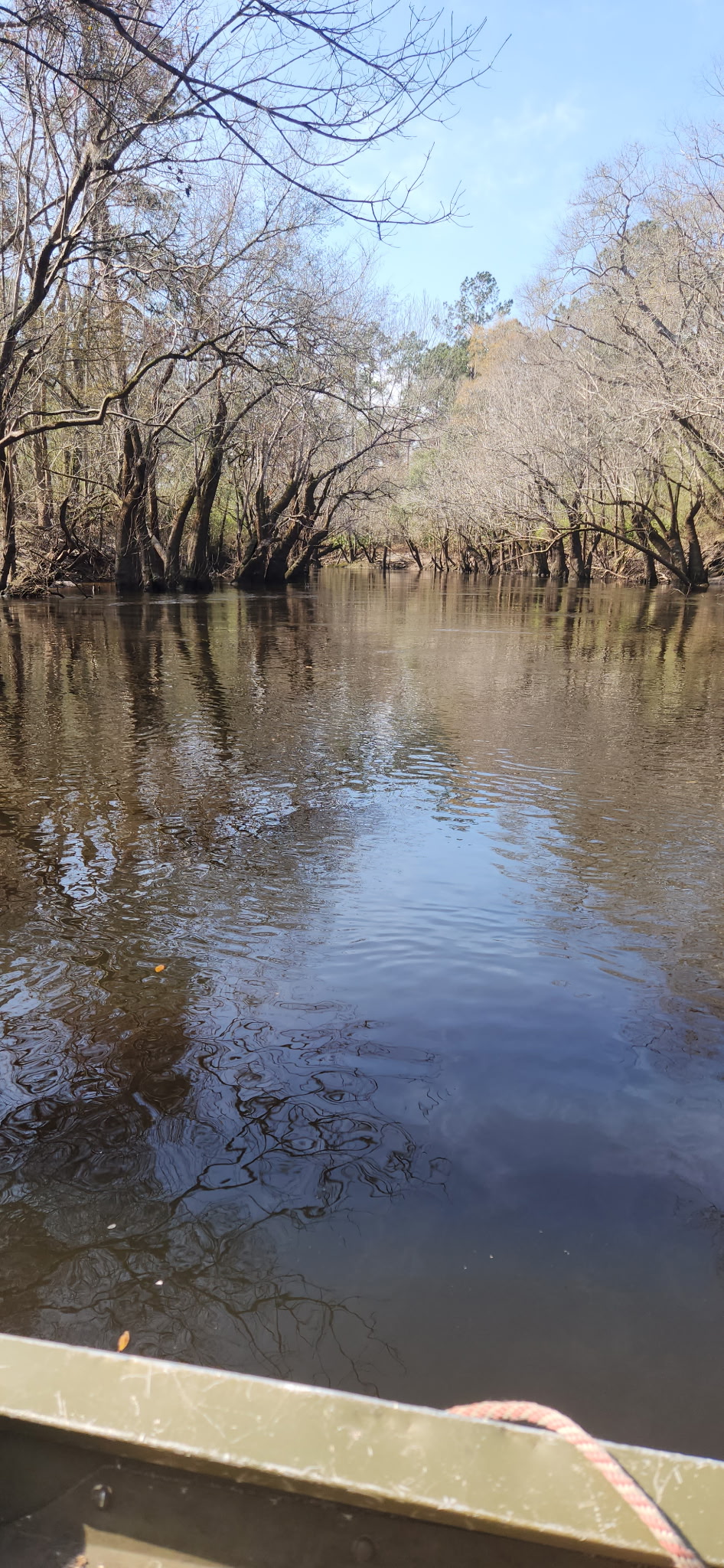 Downstream Little River --TJ Johnson