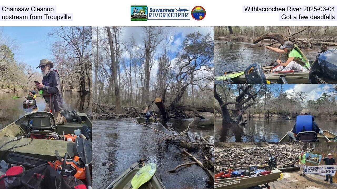 Chainsaw Cleanup, Withlacoochee River 2025-03-04, upstream from Troupville, Got a few deadfalls