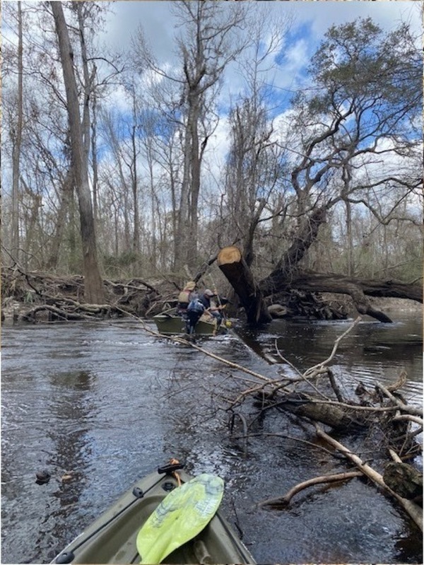 TJ prying CiHiG Deadfall --Tish Hall