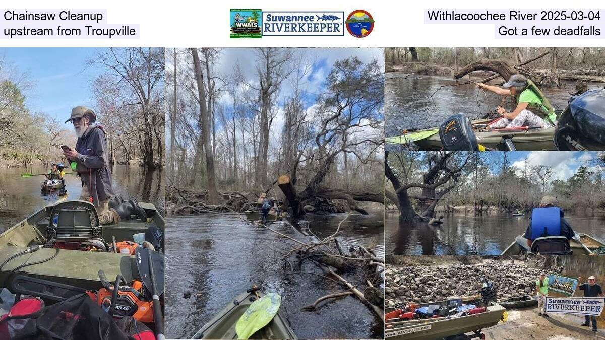 Chainsaw Cleanup, Withlacoochee River 2025-03-04, upstream from Troupville, Got a few deadfalls