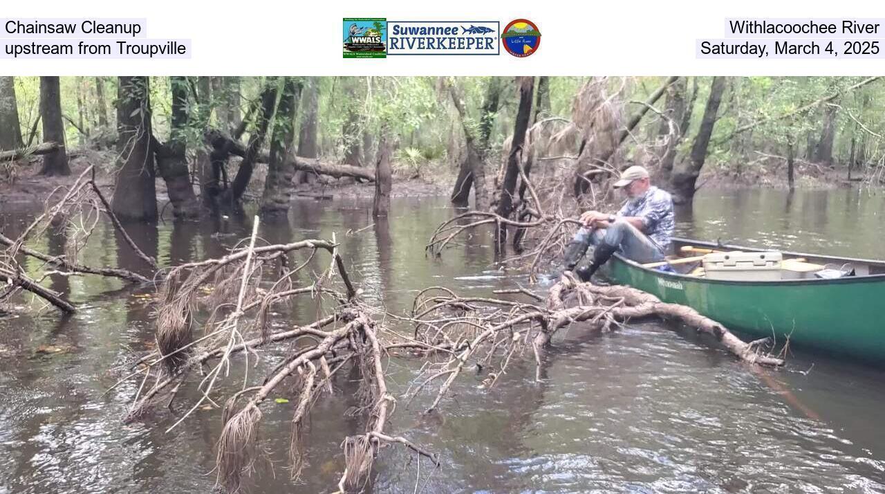 Chainsaw Cleanup, Withlacoochee River, upstream from Troupville, Saturday, March 4, 2025