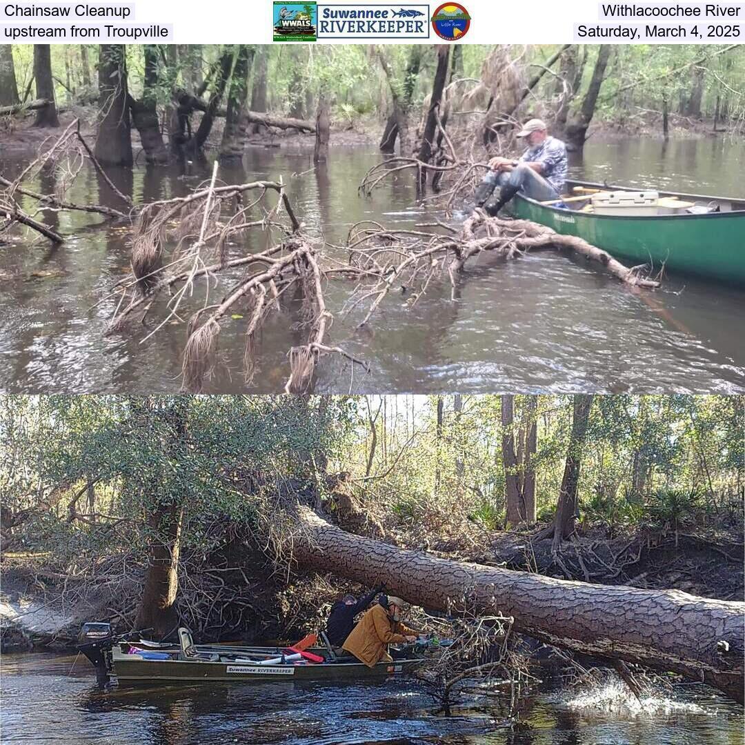 Chainsaw Cleanup, Withlacoochee River, upstream from Troupville, Saturday, March 4, 2025