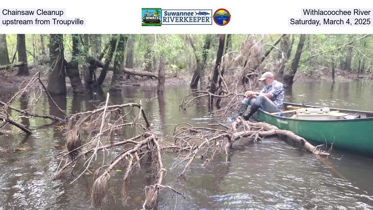 Chainsaw Cleanup, Withlacoochee River, upstream from Troupville, Saturday, March 4, 2025