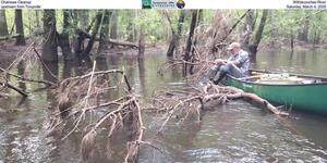 [Chainsaw Cleanup, Withlacoochee River, upstream from Troupville, Saturday, March 4, 2025]