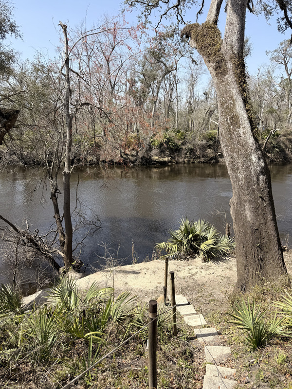 [Holly Point, Withlacoochee River @ NE Withla Bluffs Way 2025-03-05]