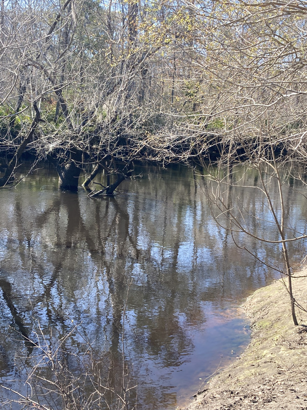 Upstream, Langdale Park Boat Ramp, Withlacoochee River @ North Valdosta Road 2025-03-06