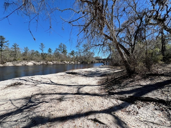 [Naylor Park Beach, Alapaha River @ US 84 2025-03-06]