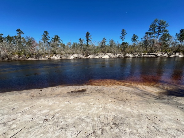 Across, Naylor Park Beach, Alapaha River @ US 84 2025-03-06