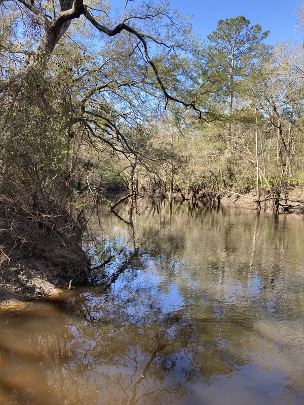 [Staten Road, Withlacoochee River @ Staten Road 2025-03-06]