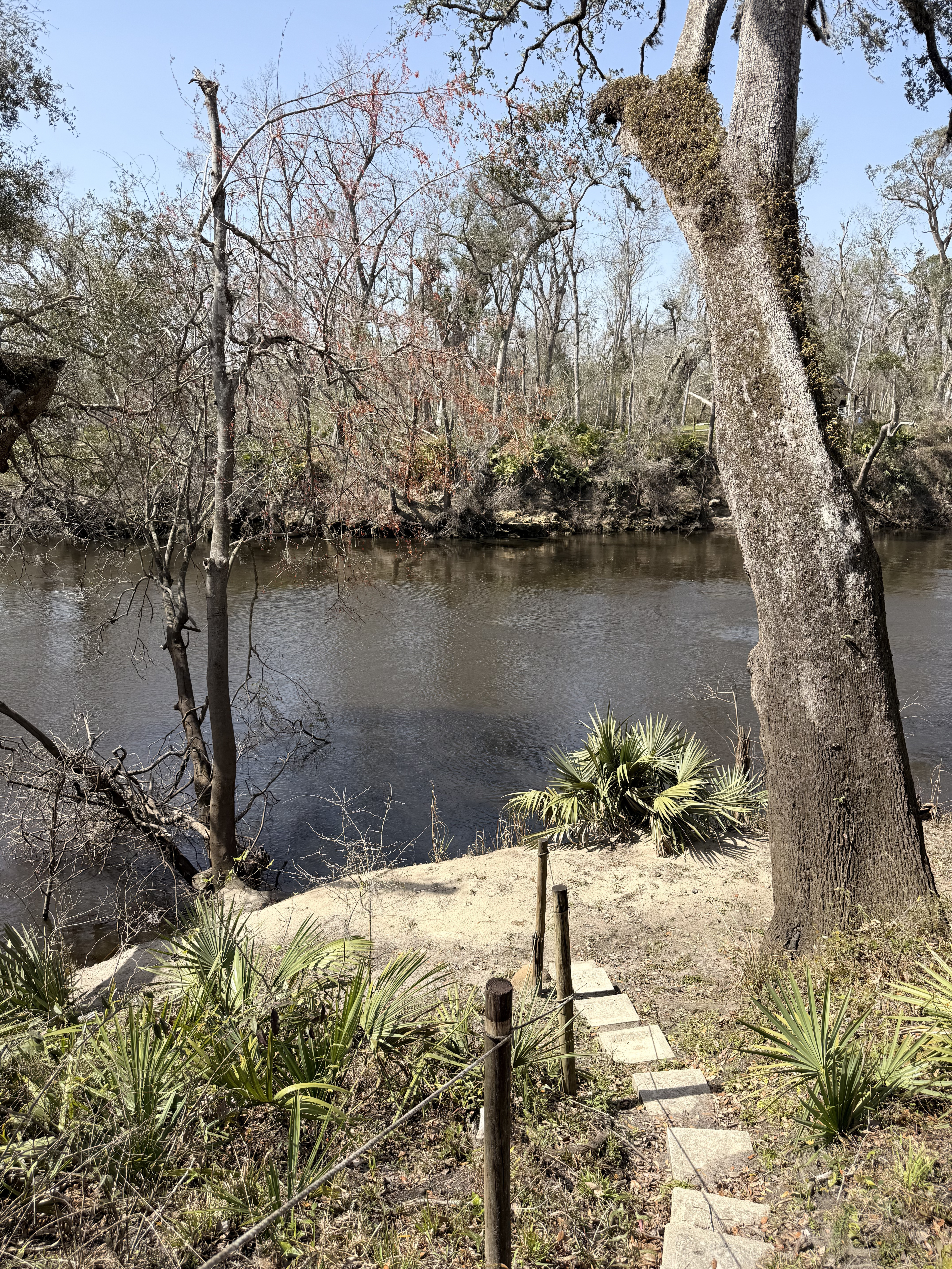 Holly Point, Withlacoochee River @ NE Withla Bluffs Way 2025-03-05