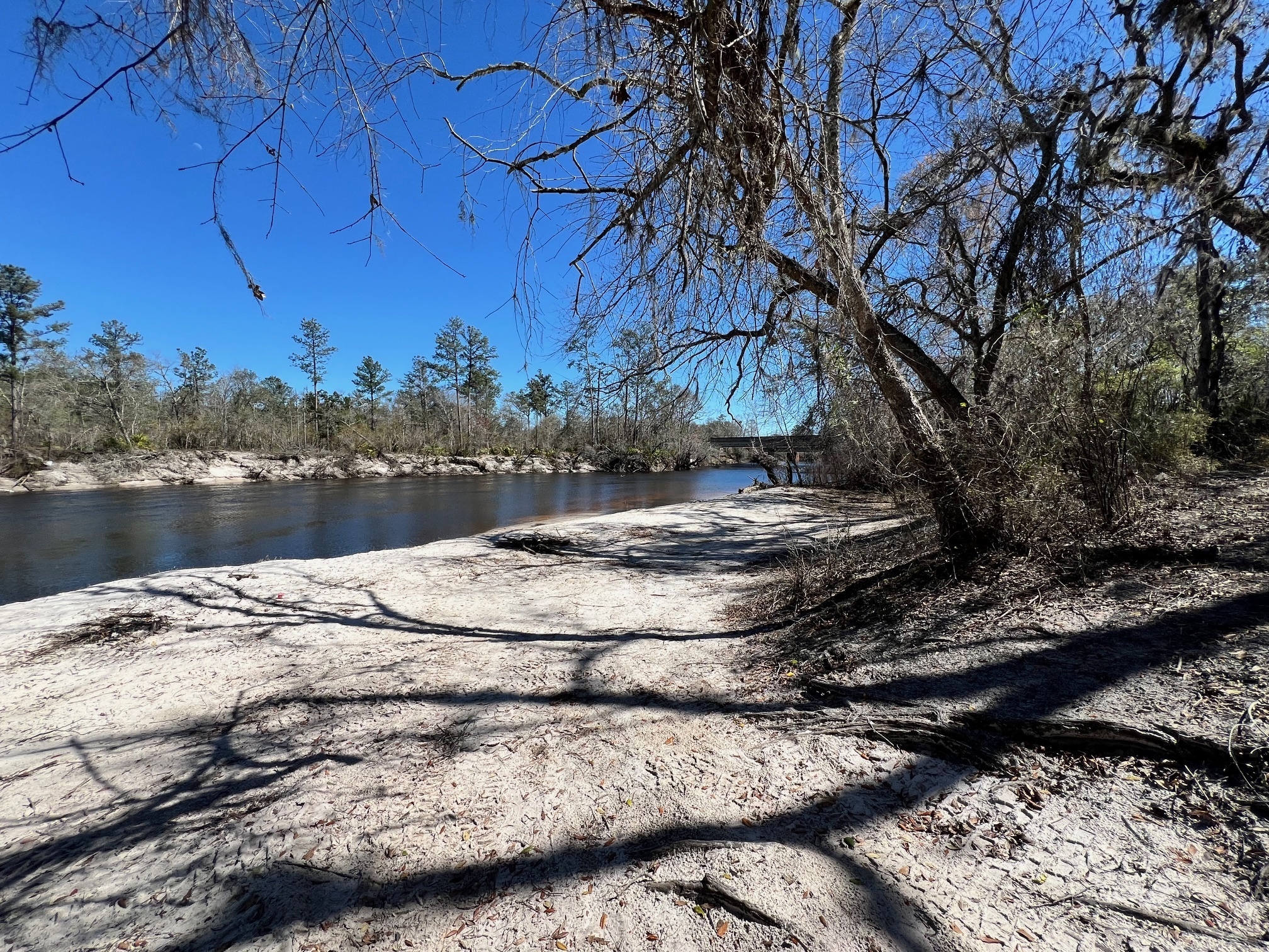 Naylor Park Beach, Alapaha River @ US 84 2025-03-06