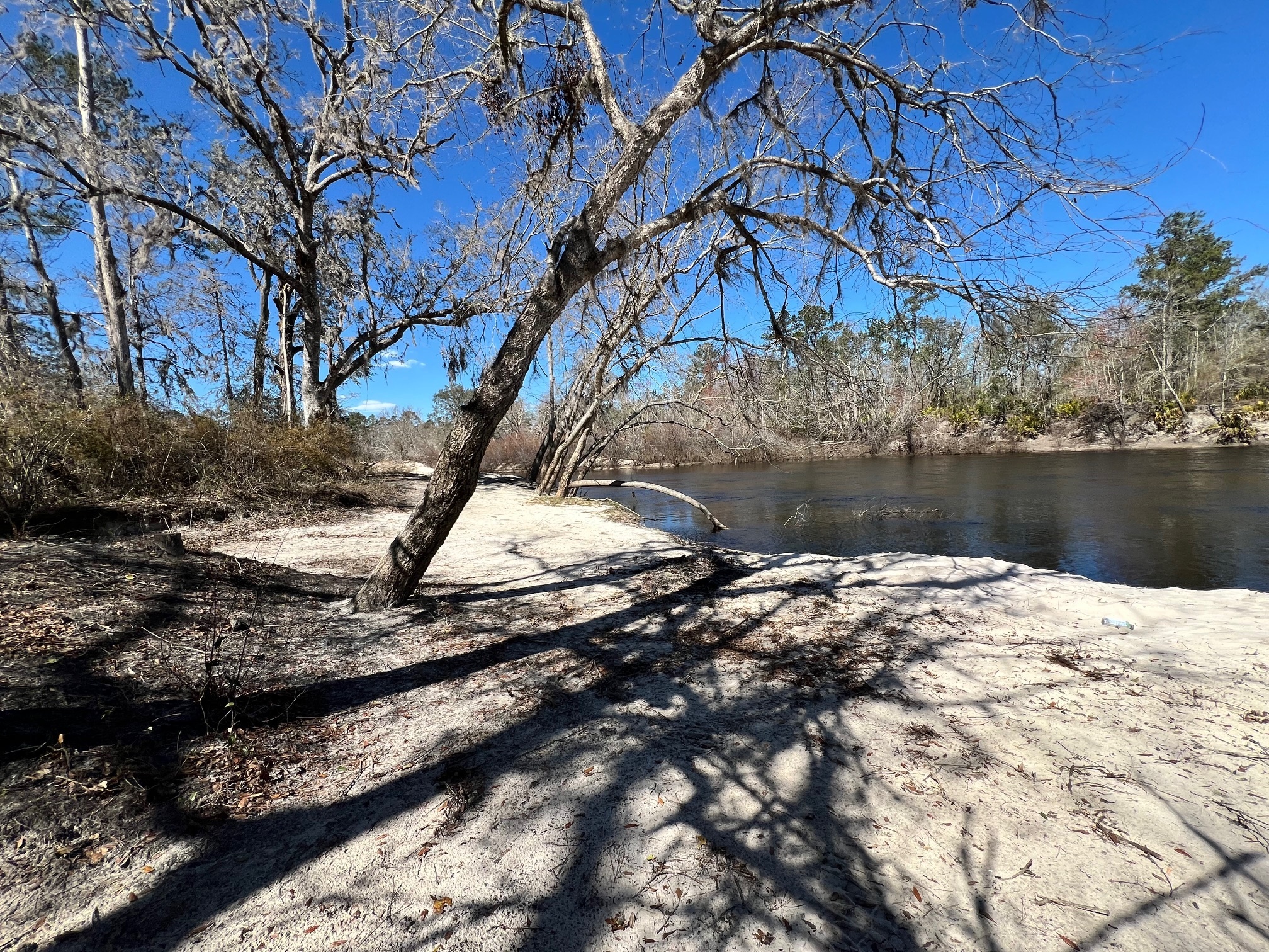 Downstream, Naylor Park Beach, Alapaha River @ US 84 2025-03-06