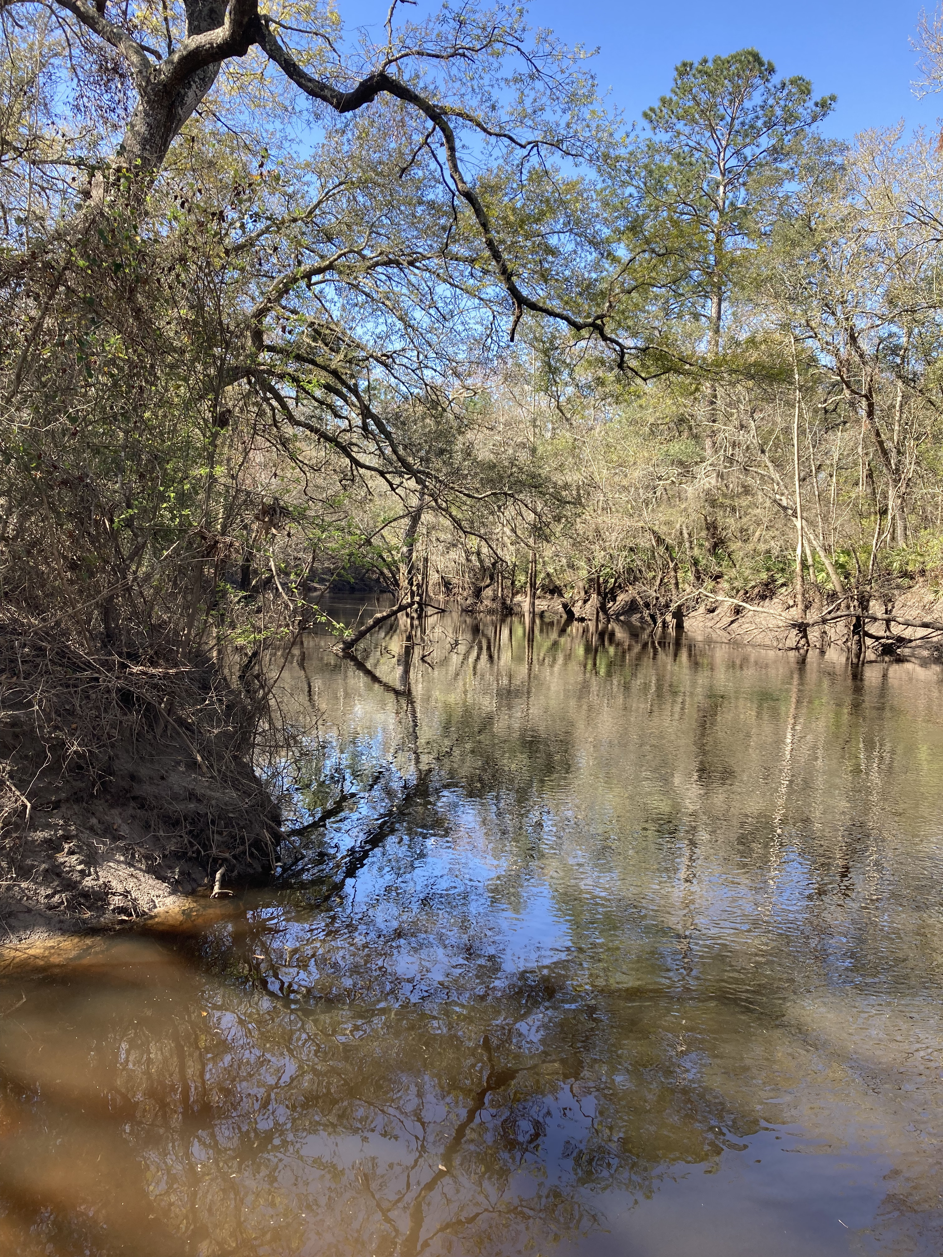 Staten Road, Withlacoochee River @ Staten Road 2025-03-06