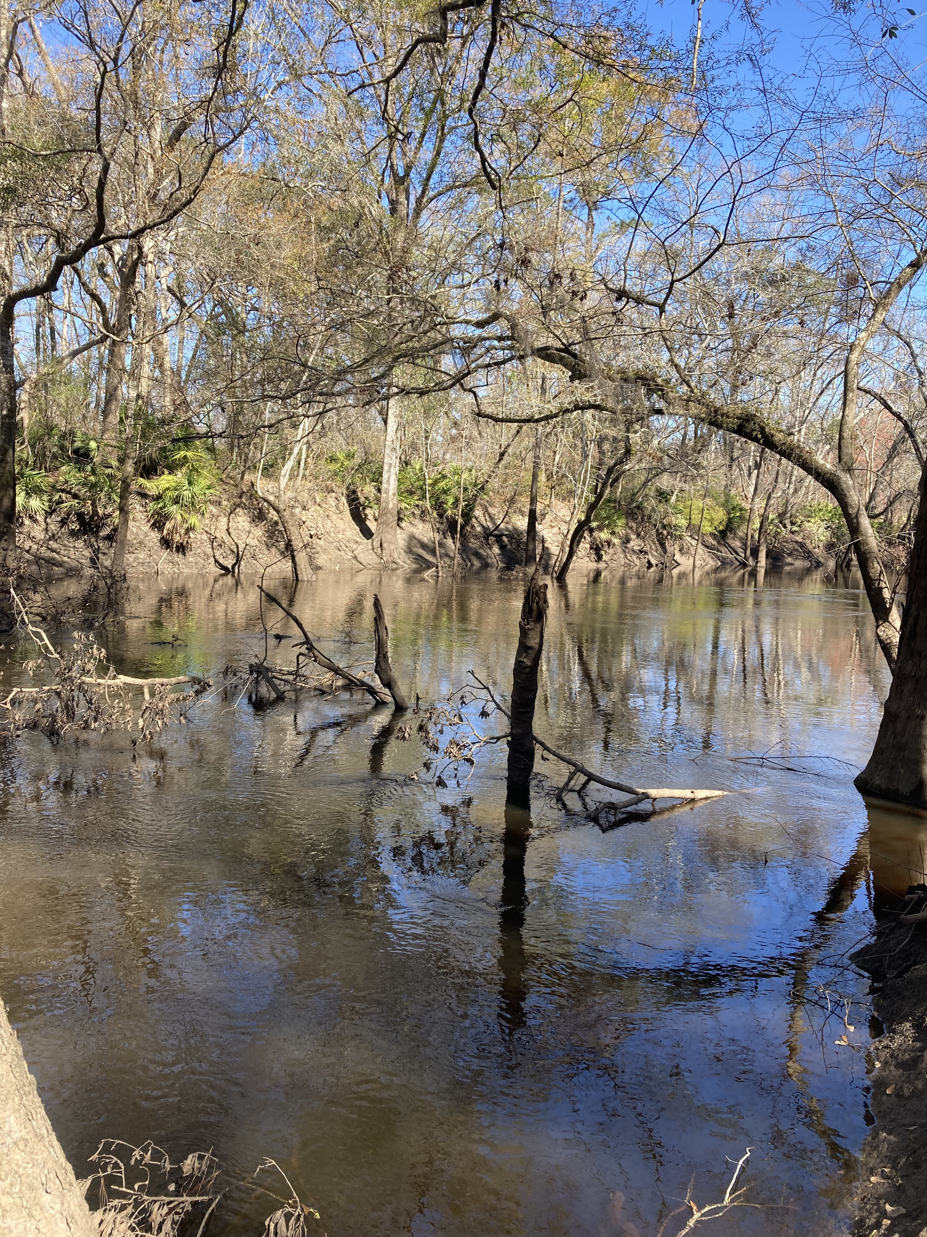 Upstream, Staten Road, Withlacoochee River @ Staten Road 2025-03-06