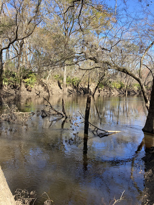 [Upstream, Staten Road, Withlacoochee River @ Staten Road 2025-03-06]