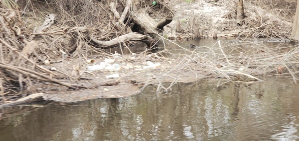 [Valdosta mulchpile trashjam, right bank, 2025:03:08 16:23:28, 30.8537420, -83.3390295]