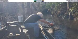 [Withlacoochee River Chainsaw Cleanup 2025-03-08, Troupville Boat Ramp, Upstream to Sugar Creek]