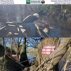 [Withlacoochee River Chainsaw Cleanup 2025-03-08, Troupville Boat Ramp, Upstream to Sugar Creek]