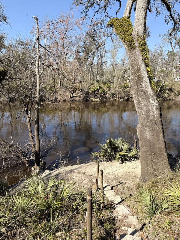 [Holly Point, Withlacoochee River @ NE Withla Bluffs Way 2025-03-12]