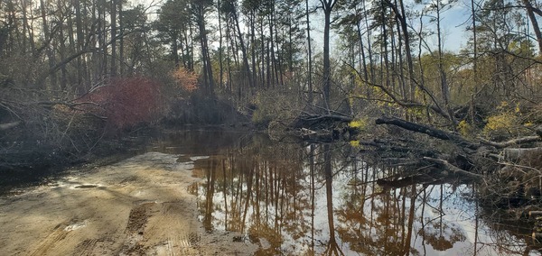 Entrance road flooded, 2025:03:14 17:58:31, 30.8861376, -83.3201135