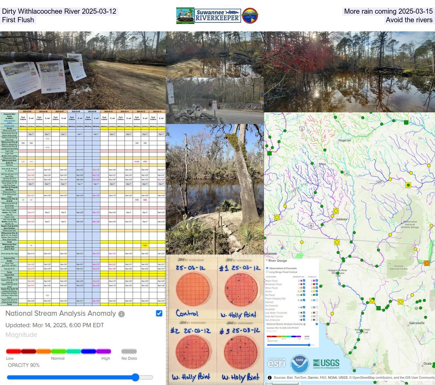 [Dirty Withlacoochee River 2025-03-12, More rain coming 2025-03-15, First Flush, Avoid the rivers]