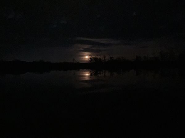 Moonrise reflection --Gretchen Quarterman