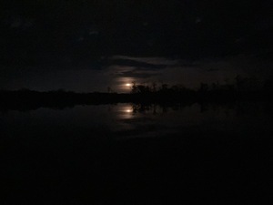 [Moonrise reflection --Gretchen Quarterman]