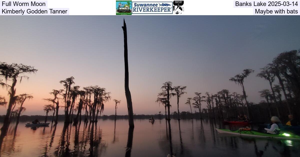 Full Worm Moon, Banks Lake 2025-03-14, Kimberly Godden Tanner, Maybe with bats