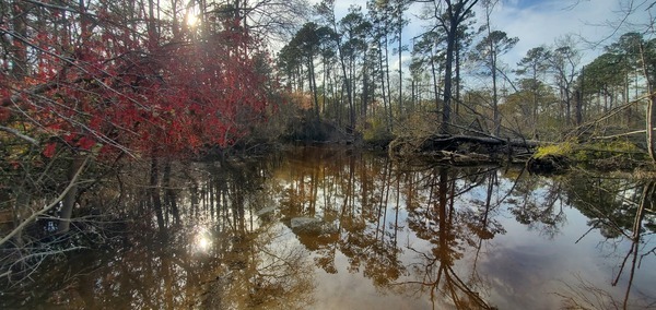 Supposed to be a road, not a creek, 2025:03:14 17:59:01, 30.8861796, -83.3200532