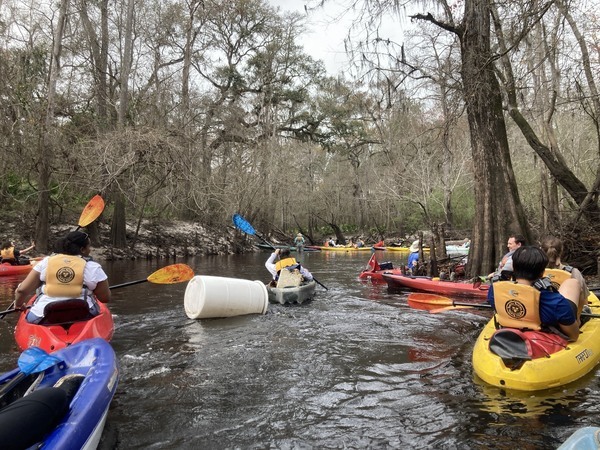 Waiting for obstacle removal (Crowe Deadfall), 2024-03-02 --Gretchen Quarterman