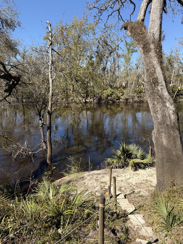 [Holly Point, Withlacoochee River @ NE Withla Bluffs Way 2025-03-19, 2025:03:19 11:34:08, 30.4138028, -83.2066028]