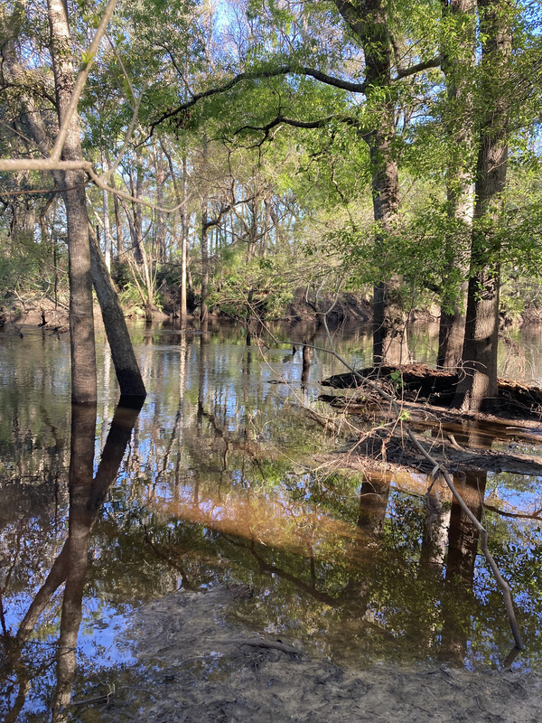 Staten Road, Withlacoochee River @ Staten Road 2025-03-19